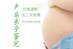 辽宁胎儿如何办理亲子鉴定，辽宁无创怀孕亲子鉴定如何收费