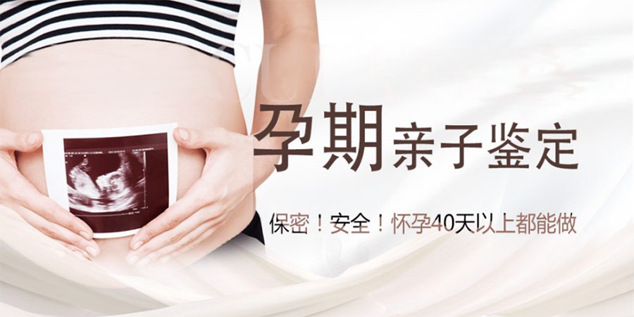 辽宁怀孕需要如何做亲子鉴定,辽宁办理怀孕亲子鉴定办理的流程